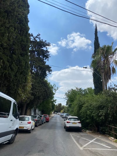 The image depicts a static scene on a narrow asphalt road in Qiryat Tivon, Israel, under a bright blue sky with scattered white cumulus clouds. The road displays wet patches. Overhead utility lines span across the frame.

On the left side of the road, a series of vehicles is parked along the curb, starting with the partial view of a white Mercedes-Benz Sprinter van marked "V.I.P Service" in the foreground. Immediately behind it is a white SEAT Ibiza hatchback with Israeli license plate "9 260 38", followed by a dark gray sedan with its driver's side door open and a red object positioned near the door. A red compact SUV is parked further behind the sedan. Other vehicles are visible parked along this side further down the street. The left side of the road is bordered by a dense line of tall, dark green trees, consistent with cypress species. A yellow object is present on the asphalt near the front left wheel of the white SEAT Ibiza.

On the right side of the road, a white SEAT Arona SUV with Israeli license plate "797 86-06" is parked, situated directly over a white 'X' marking painted on the asphalt surface. Additional parked vehicles are visible further down this side. The right roadside features a tall, slender cypress tree and a large palm tree, accompanied by a variety of green bushes. A street light is mounted on a utility pole on this side. A dark metal railing is visible along a sloped embankment on the far right. No individuals are present within the scene.
