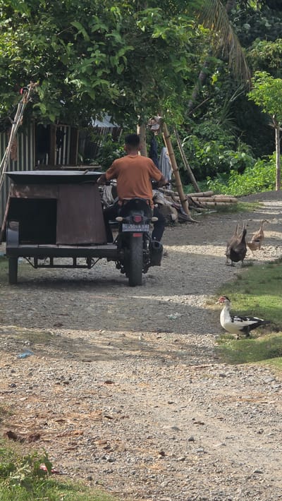 The image shows a man on a motorcycle with a trailer attached, stopped on a dirt road in Raya Sanggeu, Indonesia. Three ducks are nearby on the road. The motorcycle's license plate reads "BL 5068 LAI". Lush vegetation is present on the left side of the road, including trees and shrubs. The road appears to be made of loose gravel.