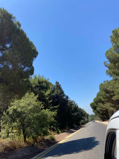 The image captures a daytime scene from a moving vehicle on an asphalt road near Mas'ade, Israel. The clear, bright blue sky occupies the upper portion of the frame. The road is flanked on both sides by dense green tree lines, consisting primarily of tall conifers and some smaller, lighter green foliage on the left. The two-lane road features a yellow solid line along its right edge, with shadows from the trees cast across its surface. In the distance, several indistinct vehicles are visible on the road, indicating traffic flow. No individuals are clearly discernible. Part of the white vehicle from which the image was captured is visible in the lower right corner. The environment appears sunny and rural, with the road traversing a gentle incline or decline.