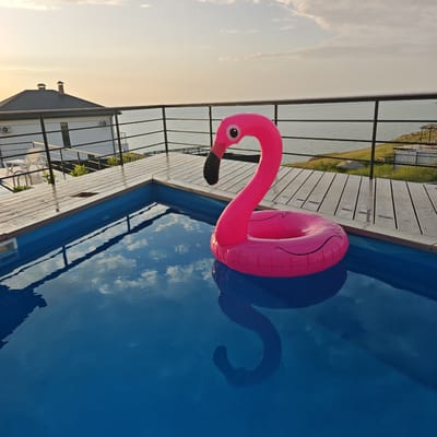 A brightly colored pink flamingo pool float is in a swimming pool. The pool has a blue surface that reflects the cloudy sky. The pool is surrounded by a wooden deck with a black metal railing. A building with a dark roof is in the background to the left, while a grassy area is to the right. The image was taken in Токаревское сельское поселение, Ukraine.