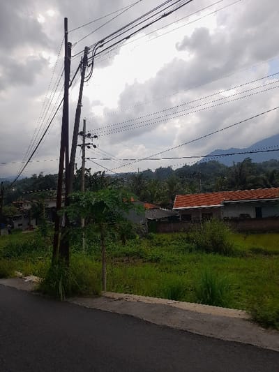 The image displays a daytime outdoor scene, likely in a rural or semi-rural setting. The left side of the frame is dominated by multiple dark utility poles, from which numerous power lines or telephone wires extend across the view, silhouetted against a largely overcast or partly cloudy sky.
To the right, a dark, paved road or path is visible, bordered by a light-colored concrete curb. Beyond the curb, a vibrant green, overgrown grassy area fills the midground. Further back, a house with a distinct orange or red tiled roof is partially visible amidst scattered trees and foliage. In the distance, a range of green, forested hills or mountains rises under the cloudy sky, suggesting a landscape consistent with the Kecamatan Prigen, Indonesia context.
The weather appears to be overcast or partly cloudy, with soft, diffused lighting. No specific human activity is depicted, nor is any text visible within the frame. The scene conveys a quiet, natural environment with integrated basic infrastructure.