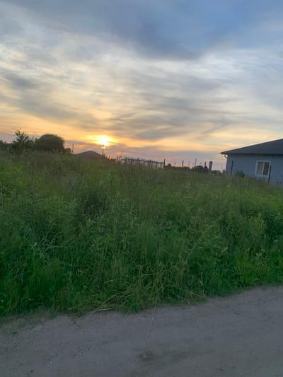 The image depicts a rural landscape at sunset, possibly on the outskirts of Gvardeysk, Russia. In the foreground, a dirt road meets a densely vegetated field of tall green grass and wildflowers. The midground features a mix of trees and a fence line, with a small hill or mound in the distance. The sky above is a blend of sunset colors, with streaks of orange, yellow, and blue clouds. To the right, a light-colored house with a dark roof is partially visible, with a single window. The overall impression is one of a quiet, undeveloped area during the golden hour.