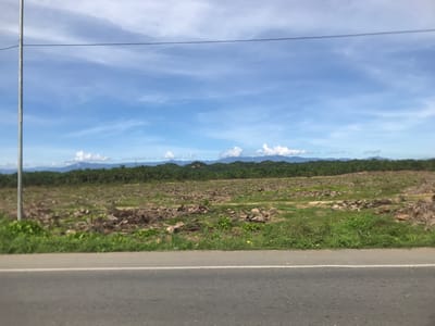 The image presents a landscape in Seumadam, Indonesia, featuring a road in the foreground. Beyond the road, a field is visible, which appears to be a deforested area with remnants of felled trees scattered across the terrain. Patches of green grass are also present in the field. In the distance, a line of trees or vegetation is visible, with mountains or hills silhouetted against a cloudy blue sky. A utility pole stands on the left side of the image.