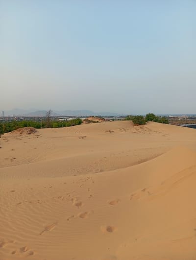 The image shows a sand dune landscape in Phuoc Dinh, Vietnam. The sky is pale blue. In the distance, there is a cityscape with buildings and mountains visible on the horizon. The dunes are covered in footprints and tire tracks. Patches of green vegetation are interspersed between the dunes.