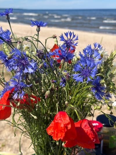 A close-up shot captures a vibrant bouquet of wildflowers, prominently featuring bright blue cornflowers and striking red poppies. The flowers are arranged with delicate green foliage, creating a lush and natural composition. Amongst the main blooms, smaller white daisies and hints of dried grasses are also visible, adding texture and variety. The bouquet appears to be freshly gathered, evoking a sense of summer bloom and natural beauty.

The background is softly blurred, suggesting an outdoor setting. On the left, the gentle waves of the sea meet a sandy shore, with subtle reflections of light on the water. The sand is a light, warm tone, indicating a sunny day. The overall lighting suggests it is daytime, likely during the warmer hours. The colors are rich and saturated, further emphasizing the brightness of the day.

In the upper right quadrant of the image, hints of dark objects and a bright red object with white lettering are partially visible, possibly a bag or a container, suggesting the bouquet is being held or placed on something. The arrangement of the flowers is artful yet wild, as if collected from a meadow by the sea. The overall mood is serene and joyful, celebrating the beauty of nature. There is no visible text in the main focus of the image.