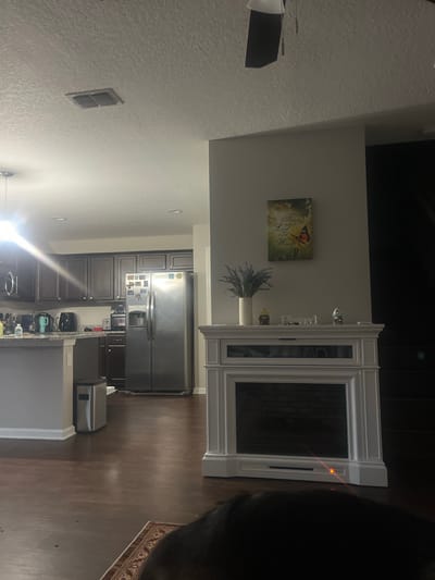 The image shows an indoor residential scene, likely a living room and kitchen area, with no specific Jacksonville, United States of America identifiers. In the foreground, a dark, out-of-focus object, possibly a pet, lies on a patterned rug. To the right, a white electric fireplace is visible with a visible orange light indicator near its base. The fireplace mantel displays a vase with lavender, two small decorative figures, and a wall art featuring a butterfly and text. The background reveals a kitchen area with dark wood cabinets, a stainless steel refrigerator, a countertop with appliances, and a trash can. A ceiling vent and part of a ceiling fan are also visible. The floor is dark hardwood.