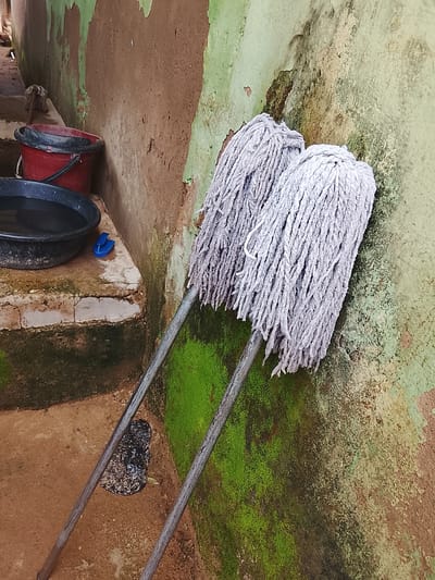 Two mops with white fabric heads and metal handles lean against a weathered, moss-covered wall. The wall's surface is rough, with patches of green moss and areas where the paint has chipped away, revealing brown plaster underneath. To the left of the mops, on a raised concrete ledge, are a red bucket with a black rim and a black basin filled with dark liquid, likely water. A small, bright blue scrubbing brush rests on the ledge near the basin. The ground appears to be made of dirt and small stones. The overall scene suggests an outdoor, possibly utilitarian area, where cleaning supplies are stored. The lighting indicates it is daytime. There is no visible text in the image.