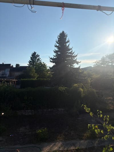 The image depicts a backyard scene in Kirchheimbolanden, Germany, under a clear blue sky with the sun shining brightly. In the foreground, a metal pole stretches across the top of the frame, with wires and a red string attached. Below, a dense evergreen tree dominates the center of the image, silhouetted against the bright sky. To the left, residential buildings with tiled roofs are visible. A wooden structure, possibly a shed or a covered patio, is present in the mid-ground. Lush green bushes and trees form a natural barrier behind the structures. The ground in the foreground is dark and appears to be uncultivated, with some scattered debris, including a toy. A paved walkway runs along the bottom edge of the image, and a green garden hose is visible on the path. The overall impression is of a tranquil, sun-drenched afternoon in a residential area surrounded by nature.