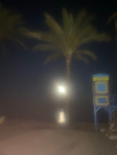 The image depicts a nighttime scene with a blurred focus, set against a dark sky. In the foreground, a path or ground surface is visible, with some lighter areas suggesting illumination. In the mid-ground, a tall palm tree stands prominently, its fronds partially illuminated by a bright, out-of-focus light source located near its base. To the right of the palm tree, a brightly lit structure resembling a lifeguard or observation tower is visible. This structure is painted in yellow and blue colors, with the letters "SOS" clearly visible at the top. The overall impression is of a somewhat blurry, atmospheric night scene. Without further information or clearer details in the image, it is impossible to definitively determine the specific location within Marbella, Spain.