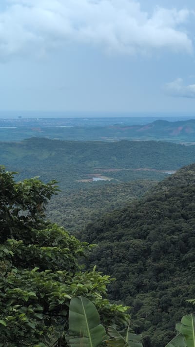 The image depicts a sweeping panoramic view of a lush, green landscape from a high vantage point. The foreground is dominated by the dense foliage of trees and large leaves, suggesting a tropical or subtropical environment. In the middle ground, rolling hills covered in thick forest stretch out, punctuated by a small body of water, likely a lake or reservoir. Beyond the hills, a distant city skyline is visible, with some buildings appearing as dark rectangular shapes against the horizon. The sky above is overcast with soft, diffused light. The scene is likely Bố Trạch Commune in Vietnam, known for its verdant scenery and proximity to urban areas. There are no people or animals visible in the image.