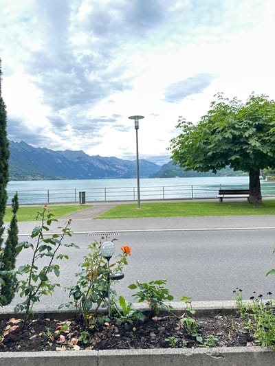 The image shows a scenic view of Lake Brienz in Bönigen, Switzerland, on a cloudy day. In the foreground, there is a concrete planter box with rose bushes and other small plants, some with fallen petals. A solar-powered garden light with a decorative glass globe stands among the plants. A paved road runs alongside the planter box.

Beyond the road and planter, a grassy area leads to a metal railing that separates the land from the lake. A trash can is visible near the railing. Across the calm, blue-green water of the lake, a range of imposing, tree-covered mountains stretches into the distance. The sky is overcast with dramatic, grey clouds. To the right, a mature tree with lush green foliage stands beside the lake, and a wooden park bench is situated beneath it. A modern lamppost is also present near the bench. A tall, narrow evergreen tree is positioned on the far left edge of the frame, partially obscuring the view of the lake and mountains.