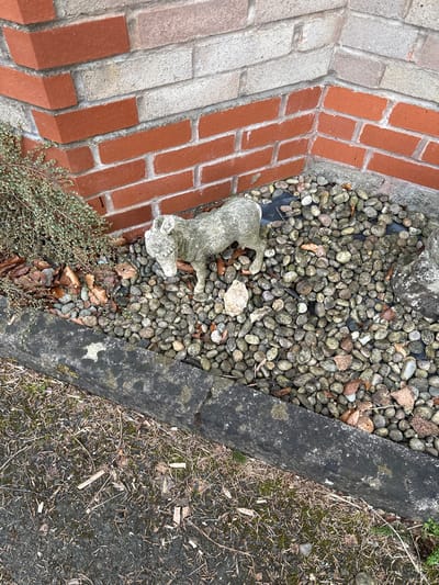 The image depicts an outdoor scene in Minsterley, United Kingdom. A small, weathered stone sculpture of a quadruped, possibly a dog or fox, lies near a brick wall. The wall consists of alternating rows of red and light grey bricks. The sculpture is partially embedded in a bed of small, smooth grey stones interspersed with dead leaves. A section of low-growing green vegetation is present at the base of the brick wall. Bordering the stone bed on the opposite side is a dark grey, weathered concrete edging separating the stones from a patch of dry, brown grass and debris.