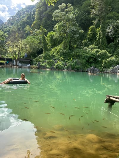 A serene landscape features a woman in a black inner tube floating in clear, green water teeming with fish. Lush green foliage covers the surrounding hillside, creating a vibrant backdrop. The water reflects the sky and trees, adding to the tranquil atmosphere. A glimpse of a building can be seen among the trees. The scene evokes a sense of peace and natural beauty.