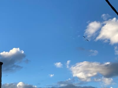 The image captures an outdoor daytime scene in Tighennif, Algeria, featuring a bright blue sky with scattered white and grey cumulus clouds. Two dark-colored birds are observed in flight within the upper-middle right quadrant of the frame. In the bottom-left corner, a dark, vertical structure, possibly a chimney or building edge, is partially visible. A dark, diagonal utility line or cable extends into the frame from the upper-right corner. No people are present.