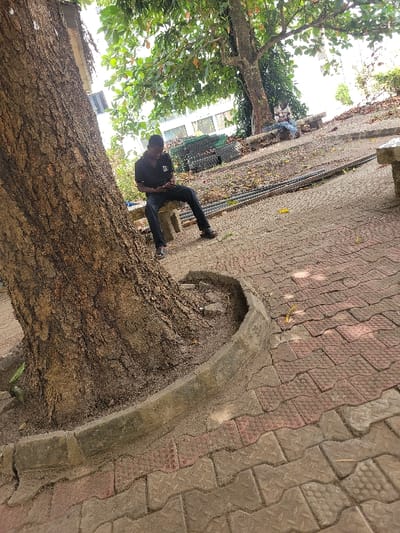 The scene is an outdoor paved area in Candelaria, Colombia, characterized by mature trees and pedestrian walkways. In the foreground, a large tree with textured brown bark occupies the left side, encircled at its base by a low, curved concrete curb. The ground is paved with interlocking concrete pavers, primarily grey, with sections of reddish-brown pavers featuring raised patterns (dots and leaves); scattered dried leaves are visible on the surface.

A dark-skinned male individual, wearing a dark short-sleeved polo shirt with a light-colored logo on the left chest, dark trousers, and dark shoes, is seated on a light-colored, rectangular stone bench positioned behind the tree trunk. He is actively engaged with a small, dark-colored electronic device, consistent with a smartphone, which he holds with both hands and gazes down at. His legs are slightly spread, and his feet rest on the paved ground.

In the midground, further up a gentle slope, another individual is seated on a similar stone bench beneath a tree, partially obscured. This second person appears to be wearing a plaid or patterned shirt. Adjacent to this area, a pile of dark, rounded objects, consistent with vehicle tires, is visible, along with several long, straight objects, possibly pipes or rods, lying horizontally on the ground. A light-colored building with visible windows is present in the distant background, partially veiled by overhead tree foliage. The overall environment suggests a public park or campus setting under bright ambient light.