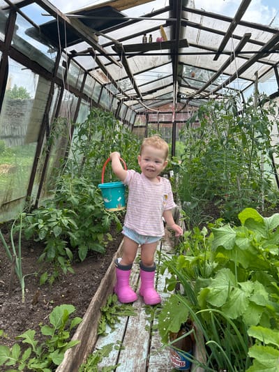 In the city of Азинский, Russia, a young child, likely a toddler, stands in a greenhouse. The child is wearing a pink and white striped t-shirt, a diaper, and bright pink rubber boots. They are holding a teal-colored bucket with a red handle, which has drawings of sea creatures on it. The child is smiling and looking towards the camera. The greenhouse environment is lush with green plants, including tomato plants and other vegetables. The structure of the greenhouse appears to be made of wood and possibly corrugated plastic or glass panels. The ground inside the greenhouse is dark soil, and a wooden path or walkway runs through it. The overall scene depicts a child interacting with a garden environment.