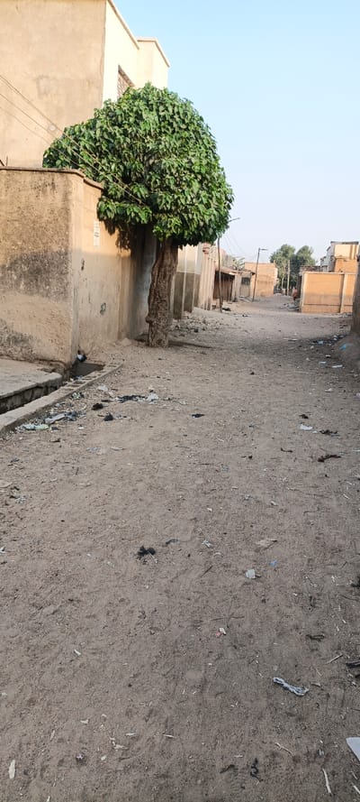The image depicts a dusty, unpaved road stretching into the distance in a residential or semi-urban setting, likely Kaura Goje, Nigeria. Buildings with simple, unpainted or light-colored walls and flat roofs line both sides of the path.
In the foreground on the left, a large, bushy tree with dense green foliage and a thick, gnarled trunk stands next to a building. A concrete drainage channel runs along the left edge of the road, and both the road surface and the ditch are visibly scattered with litter, including pieces of paper, plastic, and other debris. Further down the street, utility poles and overhead wires are visible.
The lighting suggests either early morning or late afternoon, with a clear, light blue sky overhead, indicative of fair weather. The scene appears quiet, with the only discernible activity being the faint outlines of one or two human figures in the far distance down the road, too indistinct to determine their actions. The general impression is of an ordinary street scene in a community, characterized by its unpaved surface and scattered refuse. No legible text is visible on any objects or structures.