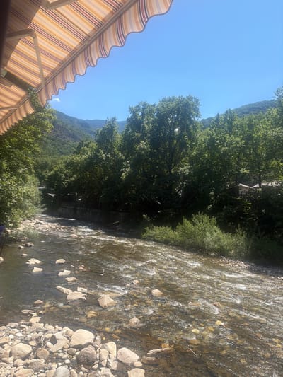 The image shows a scenic view of a river flowing through a lush, green environment, likely in Bachkovo, Bulgaria, given the context. The foreground is dominated by a riverbed filled with rocks of various sizes, with the water flowing over them, creating a textured surface with reflections. On the left side of the river, there is a rocky bank, and a portion of a striped awning is visible at the top left of the frame.

The middle ground features a dense forest of deciduous trees, with their green foliage forming a thick canopy. Between the trees and the river, a retaining wall or embankment is partially visible, with some structures or buildings nestled amongst the trees on the opposite bank. The river appears to be flowing from the background towards the foreground.

The background is characterized by a steep, tree-covered mountainside under a clear blue sky. The overall impression is one of a natural, tranquil setting, possibly a popular spot for recreation or dining, suggested by the awning. No people or specific actions are depicted.