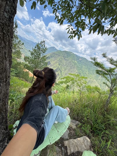 A high-angle, slightly rotated outdoor shot features a person sitting on a green-painted rock formation at what appears to be a high vantage point. The person has long, dark brown hair styled in a looped bun, a black denim jacket, and light blue jeans.
The background reveals a lush, green mountainous landscape under a sky with scattered white clouds and patches of blue. Vegetation is dense, with trees and grasses filling the scene. A rough-textured tree trunk is visible at the lower part of the image, adding to the foreground detail. The image is likely taken in the Lũng Cú Commune, Vietnam, based on the mountainous terrain and vegetation typical of that region.