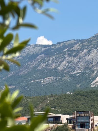 This is a vertically oriented, medium-shot outdoor photograph taken on a clear, sunny day, likely in the afternoon given the bright lighting. The scene focuses on a rugged, grey mountain face covered in sparse vegetation, which dominates the background. The mountain slopes upwards and to the right. In the middle ground, a dense green forest blankets a portion of the mountain.
To the right side of the frame, a modern building with large glass windows and a concrete structure is partially visible. This building appears to be constructed into the hillside. Further down, a section of a red-tiled roof is visible, suggesting a residential or commercial area.
In the foreground, out of focus green leaves and branches partially obscure the view, creating a framing effect. A single white cloud is visible in the bright blue sky to the left of the mountain. There is no visible text in the image. The overall impression is one of a natural landscape with a human habitation integrated into it, possibly in a coastal mountainous region like Pržno, Montenegro. The weather appears calm and pleasant.