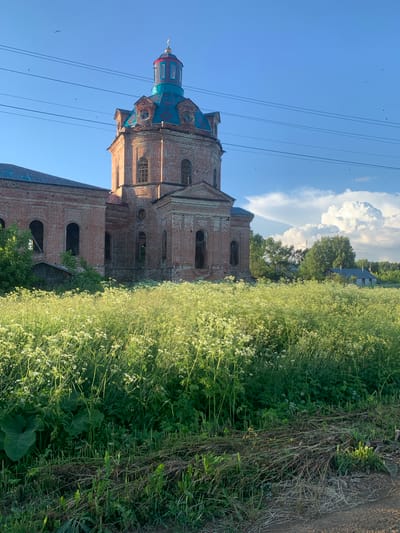 The image captures an abandoned brick church in the village of Svyatitsa, Russia. The church, constructed of weathered red brick, features a distinctive turquoise and red tiled dome topped with a golden cross. It is surrounded by overgrown vegetation, primarily tall grass and flowering plants, obscuring much of its base. In the background, trees and a few houses are visible, suggesting a rural setting. The sky above is a clear blue, with scattered white clouds and numerous birds in flight. Power lines stretch across the upper portion of the frame. The scene conveys a sense of decay and abandonment, with the church appearing to be in a state of disrepair.
