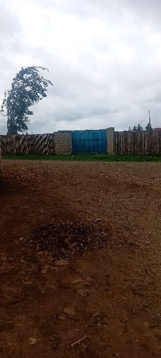 The image displays an outdoor scene in Heni Village, Kenya, under an overcast, light grey sky. The foreground is composed of reddish-brown dirt ground, uneven and scattered with small, dark, fragmented debris, primarily concentrated in a pile towards the left-center. In the midground, a mixed-material fence separates the dirt area from a narrow strip of green grass. This fence consists of a rough wooden section on the left, transitioning to a grey cinder block structure framing a weathered blue double-leaf metal gate with a grid pattern. To the right of the gate, the fence continues with vertically aligned wooden poles or stakes. In the background, a tall, dark-leafed tree with an upward-curving trunk is visible on the left. Further right, behind the fence, dense green foliage and a utility pole with overhead wires are present. No individuals or active subjects are visible within the frame.