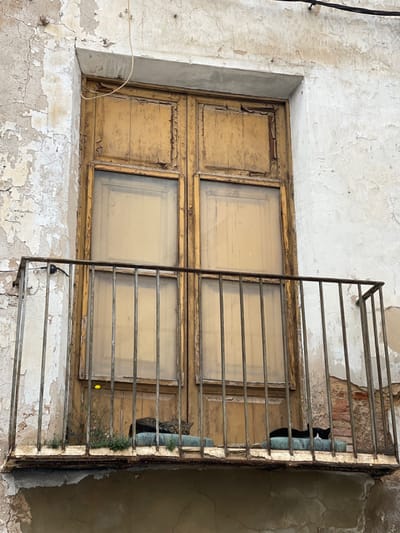 A weathered building facade in Buñol, Spain, displays a balcony on an upper floor. The off-white wall exhibits extensive peeling paint, cracks, and exposed plaster. Centered on the facade is a double-paneled wooden door, painted faded yellow-ochre with chipped paint, featuring four opaque rectangular glass inserts. Below, a rusty, dark metal railing with vertical bars defines the balcony. On the balcony floor, which shows signs of wear, two domestic cats are resting on separate, faded turquoise-blue cushions. A tabby cat lies on the left cushion, facing slightly right, while a black and white cat rests on the right cushion, facing left. Small green vegetation, including a single yellow flower, is visible growing on the balcony floor to the left of the left cat. A white electrical wire runs vertically down the upper left section of the wall.