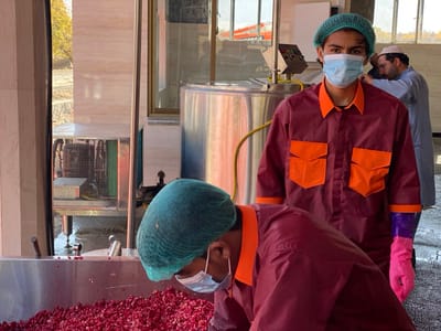 Two masked workers in maroon and orange uniforms and green hairnets stand in an industrial setting. The foreground worker is looking into a large metal container filled with a red, minced substance, while the background worker looks toward the camera. In the background is a large metal tank and a man in a light blue coat. A cooler is visible through a window.