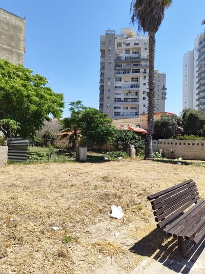 In Kiryat Yam, Israel, this image captures a scene of an urban outdoor space with a focus on a patch of dry, overgrown grass. A dark wooden bench with a slatted seat and backrest is positioned in the foreground, casting a shadow on the ground. Scattered across the dry grass are pieces of white litter, suggesting a lack of recent maintenance. Behind the dry grass, a metal fence encloses a greener area with trees, bushes, and a low building with a red roof. Beyond this, a tall, slender palm tree stands prominently in front of a modern, multi-story grey apartment building. To the right of this building, another, brighter white apartment building with grey accents is visible. The sky above is clear and blue. A large, grey, rough-textured building stands on the left side of the frame, partially obscuring the sky. The overall impression is one of urban development alongside neglected public space.