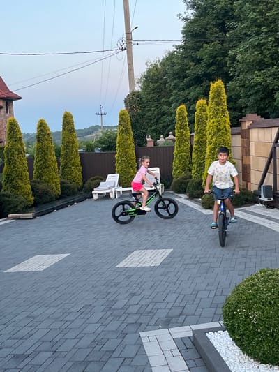 In the city of Koroviia, Ukraine, two children are riding bicycles on a paved driveway. The boy, on the right, is wearing a white t-shirt with a colorful pattern and blue shorts, riding a black bicycle. The girl, on the left, is wearing a pink t-shirt and pink shorts, riding a green bicycle. They are surrounded by tall, cone-shaped green trees and dark green bushes. In the background, there is a brick wall, a fence, and a building with a red roof. The sky is a pale blue.