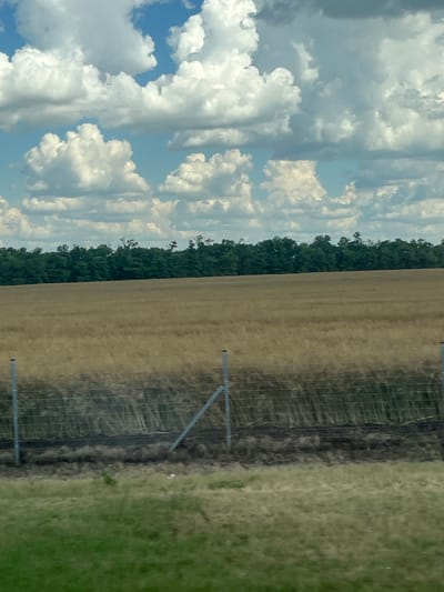 An exterior, eye-level shot captures a vast, golden field under a partly cloudy sky. A dense line of dark green trees borders the horizon, separating the field from the sky. In the foreground, a wire fence with metal posts runs horizontally across the frame, with a diagonal metal support pole visible on the right. The field itself appears dry and harvested, with a darker, possibly burned or tilled strip just behind the fence. The sky is a mix of bright blue and fluffy white clouds, with some clouds appearing darker and more ominous. The scene is devoid of people or animals. The location is Platnirovskaya, Russia.