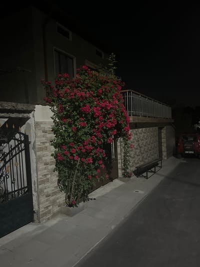 Night scene of a building in Kornitsa, Bulgaria. A large rose bush with red flowers covers part of the facade, which is constructed of light-colored bricks. The building also features windows, a balcony, and a decorative metal gate. A red car is parked in front of the building. The environment is dark, illuminated by artificial lights.