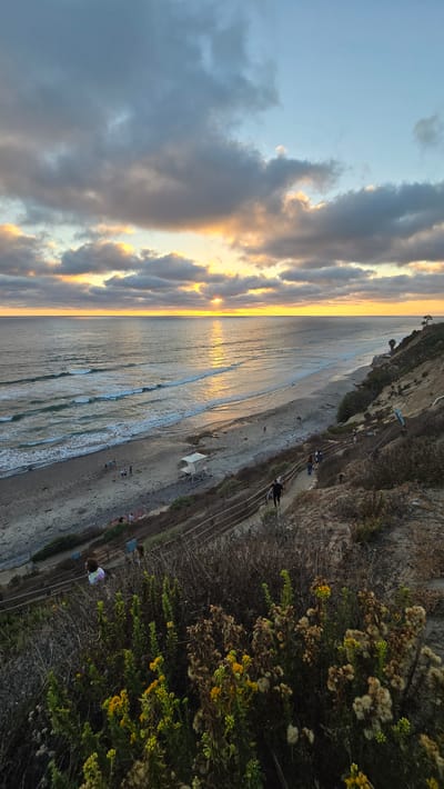 This is an aerial, vertical, outdoor photograph taken at dusk in Encinitas, California, USA. The scene captures a coastal landscape with a view of the Pacific Ocean during sunset. The sky is filled with dramatic clouds, with the sun setting on the horizon, casting a golden reflection on the water. The beach below is sandy, with gentle waves rolling in. A path winds down the cliffside, with a few people walking along it, some carrying surfboards. There is a lifeguard tower on the beach. The foreground is dominated by dense, dry vegetation, with some small yellow wildflowers. The overall impression is one of natural beauty and tranquility.