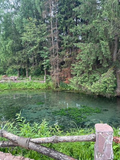 The image depicts a tranquil natural scene in Otchor, Russia, likely during daytime with clear weather, as evidenced by the bright lighting and reflections on the water. The setting is a serene environment bordering a clear, shallow body of water, possibly a spring or a slow-moving river.

On the left side of the image, a dense forest of evergreen trees dominates the landscape, their branches extending towards the water. The trees appear healthy, with a variety of green foliage. In the water, patches of lush green aquatic plants are visible, thriving in the clear depths. The bottom of the water is stony and clearly visible, adding to the sense of purity and clarity.

A rustic wooden fence with an "X" pattern runs along the edge of the water, separating it from the bank. The fence is partially made of rough-hewn logs and is tied together with thick rope, suggesting a natural or preserved area. A small, sturdy structure, possibly a signpost or part of the fence, made of rough-cut stones, stands to the right of the image, adding a man-made element to the natural setting. The overall mood is peaceful and calming, inviting contemplation of nature's beauty. No people are visible in the image, and there is no discernible text.