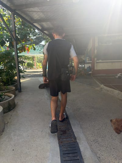 In Vĩnh Lương, Vietnam, a person is walking away from the camera on a concrete pathway. The person is wearing black shorts, a light grey t-shirt, and a black vest over it. A small black bag is slung across their chest. They are wearing black sandals with white accents. To the left of the pathway, there are several large potted plants. To the right, a dark-colored dog is lying down on the pathway. Further down the pathway, a light brown dog is lying on the ground. The scene appears to be outdoors, with a covered walkway or roof overhead. Sunlight is creating a lens flare in the upper right portion of the image, obscuring some details.