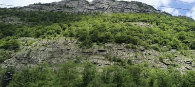 The image displays a mountainous landscape with lush green trees covering the slopes. The rocky face of the mountain is visible in sections, interspersed with the foliage. Several horizontal wires are stretched across the scene, appearing to be power lines or a cable car system. In the lower left corner, a traffic light with three black lenses is partially visible. The sky above is partly cloudy with patches of blue. The scene is likely a natural environment near Golling an der Salzach, Austria, given the context.