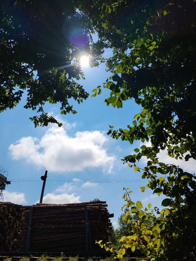 This is an outdoor, eye-level shot taken from a low angle looking up towards a bright, partly cloudy blue sky. The foreground and edges of the frame are dominated by the dark silhouettes of lush green tree branches and leaves, with some of the leaves catching the sunlight. The sun itself is visible through the foliage, creating a lens flare effect and casting light rays downwards. In the mid-ground, a large stack of cut logs is piled high, secured by wooden posts. To the left of the logs, part of a structure with a railing can be seen. A dark, angled pole with what appears to be a pulley system is positioned above the logs, with thin wires stretching horizontally across the sky. The scene appears to be in a rural or industrial outdoor setting. Given the context of Hoholeve, Ukraine, this could be a logging yard or a site adjacent to a forestation area. There are no people or animals visible in the image.