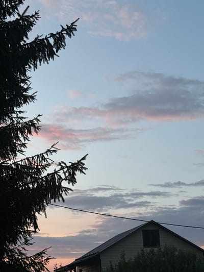 A dark green fir tree branch is silhouetted against a pale blue sky with wispy pink and grey clouds. In the bottom right corner, the roofline of a light-colored, wooden house is visible, with a single dark window in the gable. A power line runs horizontally across the scene, intersecting the sky and the house. The image appears to be a sunset or sunrise view from Lyady, Russia. There are no people or animals visible in the image, and no discernable actions are taking place.