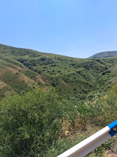 The image depicts a view of rolling, green hills under a clear blue sky. The terrain is covered in dense vegetation, with some areas appearing dry and brown. In the foreground, there is a white guardrail with a blue stripe, suggesting a roadside location. This scene is likely situated in the city of Zaritap, Armenia, a region known for its natural beauty and hilly landscapes. There are no people or animals visible in the image. The overall impression is one of a remote, natural environment.
