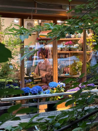 This image depicts the storefront of a flower or craft shop, likely located in Kyoto, Japan, observed through dense, blurred foreground foliage. Inside the illuminated shop, a young East Asian woman with dark hair, wearing a light brown or mauve kimono with an obi, stands behind a wooden counter. She is actively engaged, looking down at items on the counter, with her hands positioned as if arranging or working with them. An open laptop or tablet displaying blue flowers is visible on the counter beside several small, dark boxes.

The shop's interior features wooden shelving stocked with numerous spools of colorful ribbons on lower shelves and various floral arrangements in clear vases on upper shelves. Specific flower types include pink and white orchids or similar blooms. A small, white wall-mounted air conditioning unit is visible above the counter. An ornate, textured glass pendant lamp hangs from the ceiling, casting warm light. In the rightmost window pane, a blurred reflection of a person in a light-colored top is visible.

Outside the shop window, on a light-colored wooden railing, pots of vibrant blue and purple hydrangeas are prominently displayed. Additional green potted plants are present on the railing and in the outdoor space to the left. The scene suggests dusk or evening due to the illuminated interior contrasting with the external ambient light. The cultural attire of the woman and the shop's aesthetic align with common visual characteristics of Japan.
