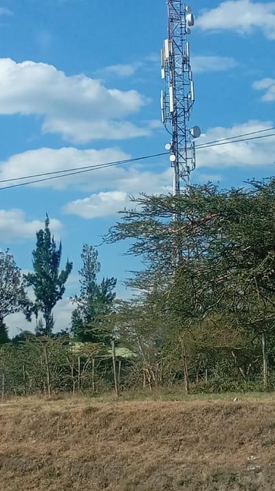 A tall telecommunications tower rises against a partly cloudy blue sky. It's positioned behind trees with sparse foliage and evergreens. A wooden fence runs horizontally across the midground. The foreground is a field of dry grass. Power lines run across the top of the image behind the tower.