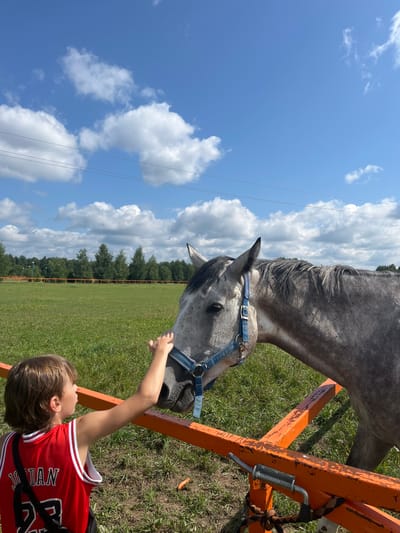 In Kurtsevo (Kovriginskii S/S), Russia, on a sunny day with a blue sky and scattered white clouds, a young boy wearing a red and white basketball jersey with "JORDAN" printed on the back extends his hand to pet a gray horse. The horse, wearing a blue halter, is leaning its head towards the boy. They are separated by an orange metal fence. The background consists of a green grassy field, a line of trees, and more fencing.