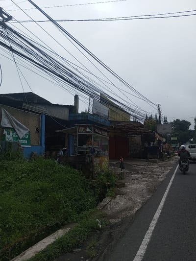 A roadside scene under a grey sky features a cluster of small, rundown buildings and stalls. Dense, overgrown foliage fills the foreground. Power lines crisscross overhead. A dark bird stands on the uneven pavement. A motorcyclist travels along the road's right side. A white truck is visible further down the road.