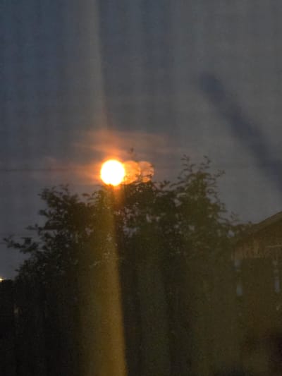 The image depicts a hazy sunset or moonrise over a treeline. A bright, glowing orb, likely the sun or moon, is visible in the upper center of the frame, partially obscured by clouds and foliage. Beams of light emanate from the orb, creating a luminous effect. Silhouetted against the light are the dark shapes of trees and a portion of a building structure on the right. The sky is a deep gray, with lighter, wispy clouds. The overall impression is one of diffused light and a somewhat obscured view of celestial bodies. The image provides no specific clues to its location within Буренка, Russia, other than being outdoors.