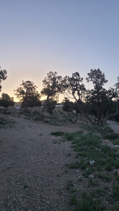 A landscape photograph shows a rocky hillside in Ziarat, Pakistan at dusk. The sky transitions from light blue to a yellow-orange hue near the horizon. Silhouetted trees with gnarled branches line the left side of the image. A gravel path slopes downward towards the right. Sparse patches of green grass and vegetation grow along the path.