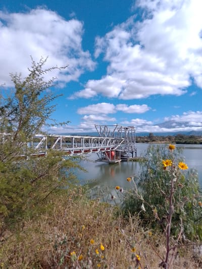 The image captures a scene in Municipio Tarija, Bolivia, showing a silver-colored metal structure extending into a body of water, possibly a lake or reservoir. The structure appears to be a bridge or platform, supported by a metal framework that goes into the water. On the platform are visible some orange cylindrical objects.

The foreground is filled with vegetation, including dry grass and bushes, with some yellow wildflowers in bloom. A larger shrub is partially obscuring the view of the metal structure on the left.

In the background, there's a treeline, and further back, the silhouette of mountains can be seen against the sky. The sky is blue with scattered white clouds. The water surface is calm, reflecting the sky and the surrounding landscape. There are no people visible in the image.