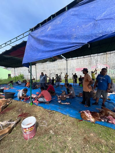 The image depicts a communal slaughter of livestock, possibly cows, taking place outdoors in Paya Geli, Indonesia. Numerous people are present, some actively cutting meat on a large blue tarp spread on the grass. Animal carcasses and butchered portions are visible on the tarp and the surrounding grass. A large blue and green tarp-covered structure provides shade. A white bucket with the brand name "JOTUN" sits nearby. The background shows a tall concrete wall with graffiti.