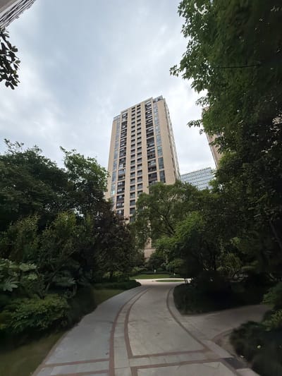 A tall building with many windows is visible through a gap in the trees. A curving sidewalk with white lines runs alongside the trees. The sky is overcast. The location is likely Binjiang District, China.