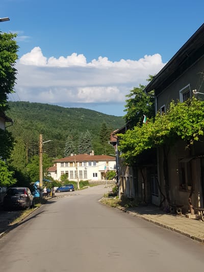 The image depicts a street scene in Lomets, Bulgaria. The perspective is from a low angle, looking down a paved road that curves to the right. On the left side of the road, a dark-colored car is parked, and beyond it, a large green tree with dense foliage partially obscures the view of a building. Further down the road, another car, a blue SUV, is parked, and two individuals, one wearing a white shirt and the other a dark top, are standing near it. To the right of the road, a building with a dark facade and a vine-covered roofline is prominent. A Bulgarian flag is visible hanging from the building. Another, lighter-colored building with a reddish-brown roof is situated further back on the left side of the road, appearing to be a public building with multiple windows. In the background, a dense, green forest covers a hillside under a bright blue sky with scattered white clouds. The overall environment suggests a rural or semi-rural setting.