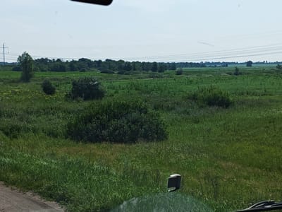 The image depicts a wide, open landscape with lush green vegetation, indicative of a rural or semi-rural environment. The scene appears to be taken from a vehicle, as a portion of the windshield and a side mirror are visible in the foreground. The sky is pale blue and overcast, suggesting a cloudy day.

In the distance, a line of trees forms a dense border across the horizon. Beyond this tree line, the landscape continues, with evidence of distant structures, possibly agricultural buildings or remnants of past construction, hinted at by darker, rectangular shapes. Power lines stretch across the sky, supported by a solitary utility pole on the left side of the frame, indicating the presence of infrastructure.

The vegetation itself is varied, with taller trees interspersed with bushes and tall grasses that create a textured, undulating ground cover. The overall impression is one of a natural, undeveloped area, possibly a field or a meadow, with signs of human presence in the form of power lines and distant structures. The location of Ramushki, Russia, implies a geographical context that is consistent with this type of landscape.